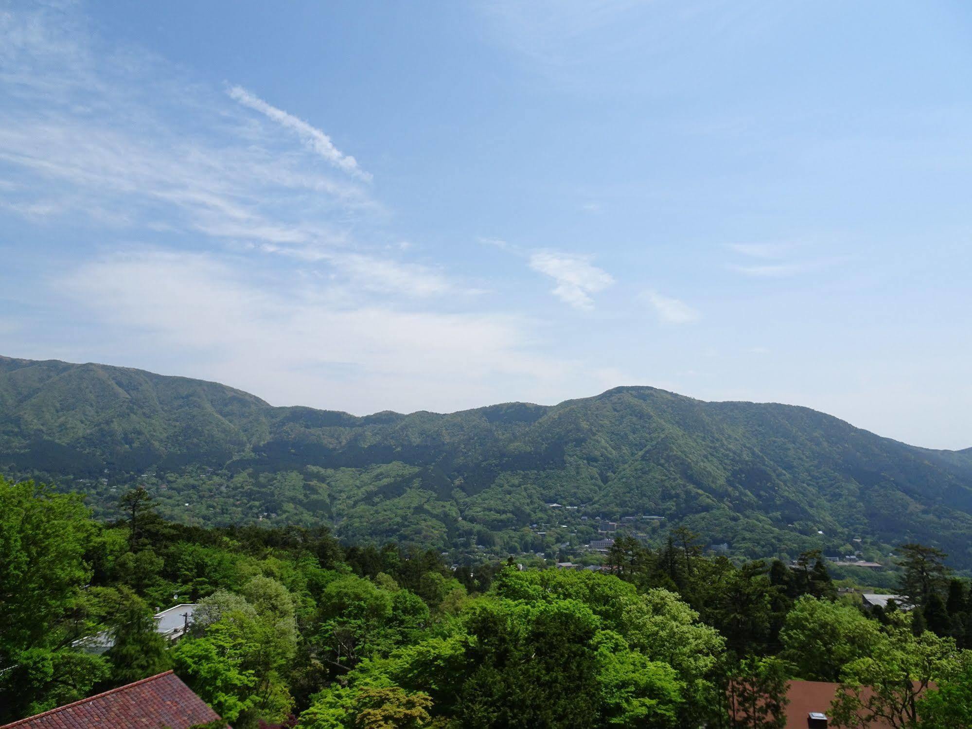 Hakone Gora Shinzan酒店 外观 照片